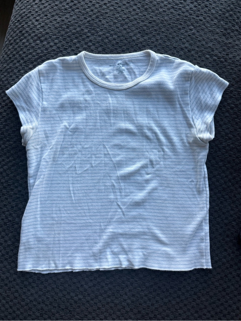Brandy Melville Short Sleeve Tee